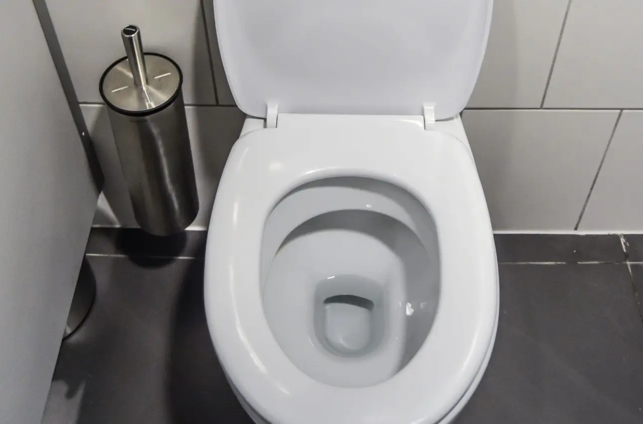 Ecco il WC del futuro: niente più schizzi grazie alla scienza Immagine selezionata