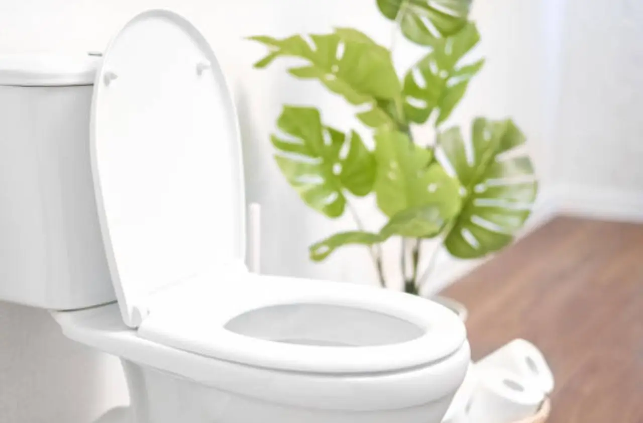 Ecco il WC del futuro: niente più schizzi grazie alla scienza Immagine selezionata