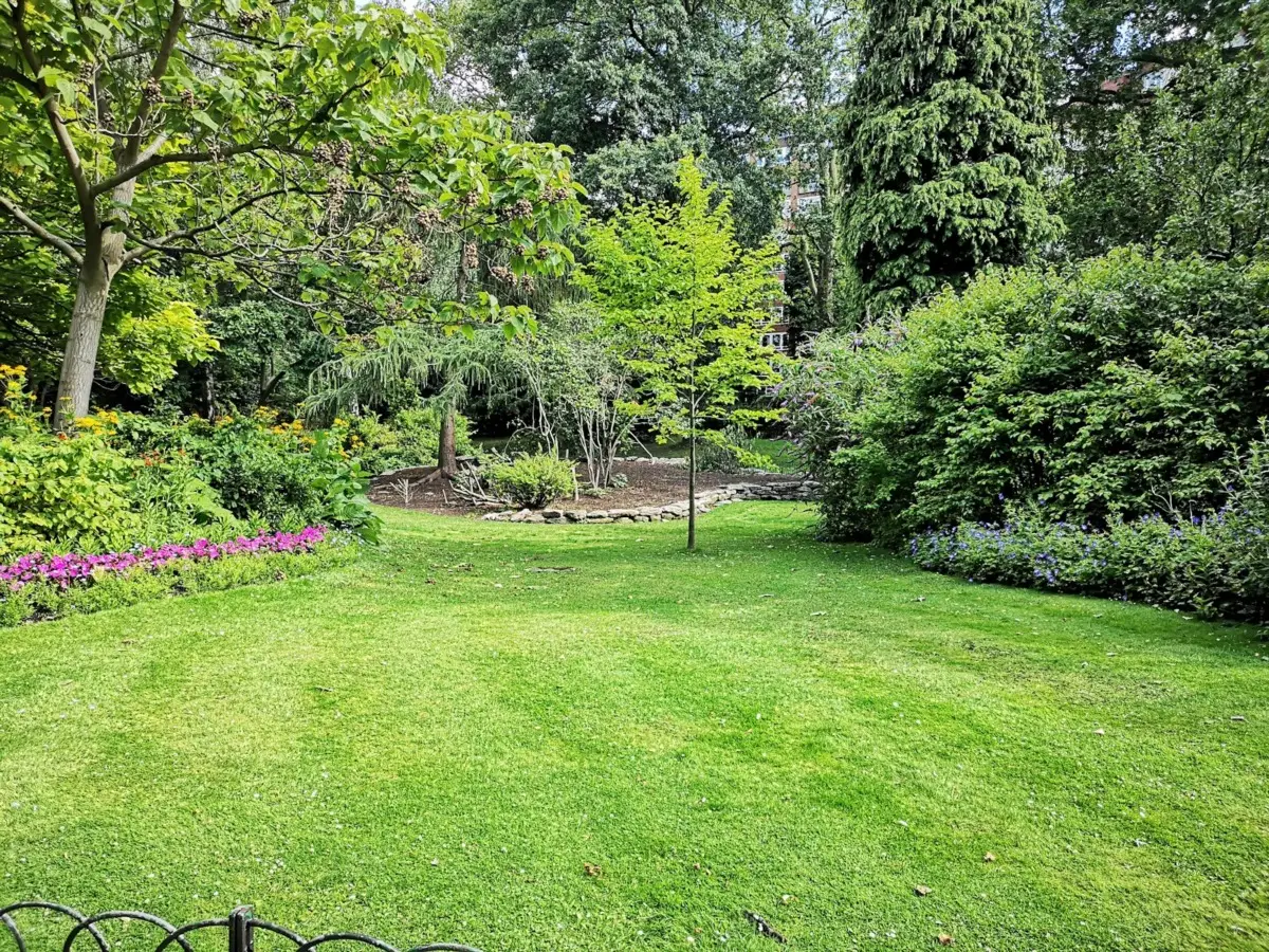 Il trucco per un giardino sempre fiorito, l’arbusto poco noto che regala colori tutto l’anno Il trucco per un giardino sempre fiorito, l’arbusto poco noto che regala colori tutto l’anno